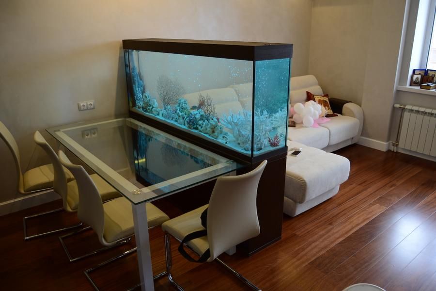аквариум в гостиной 