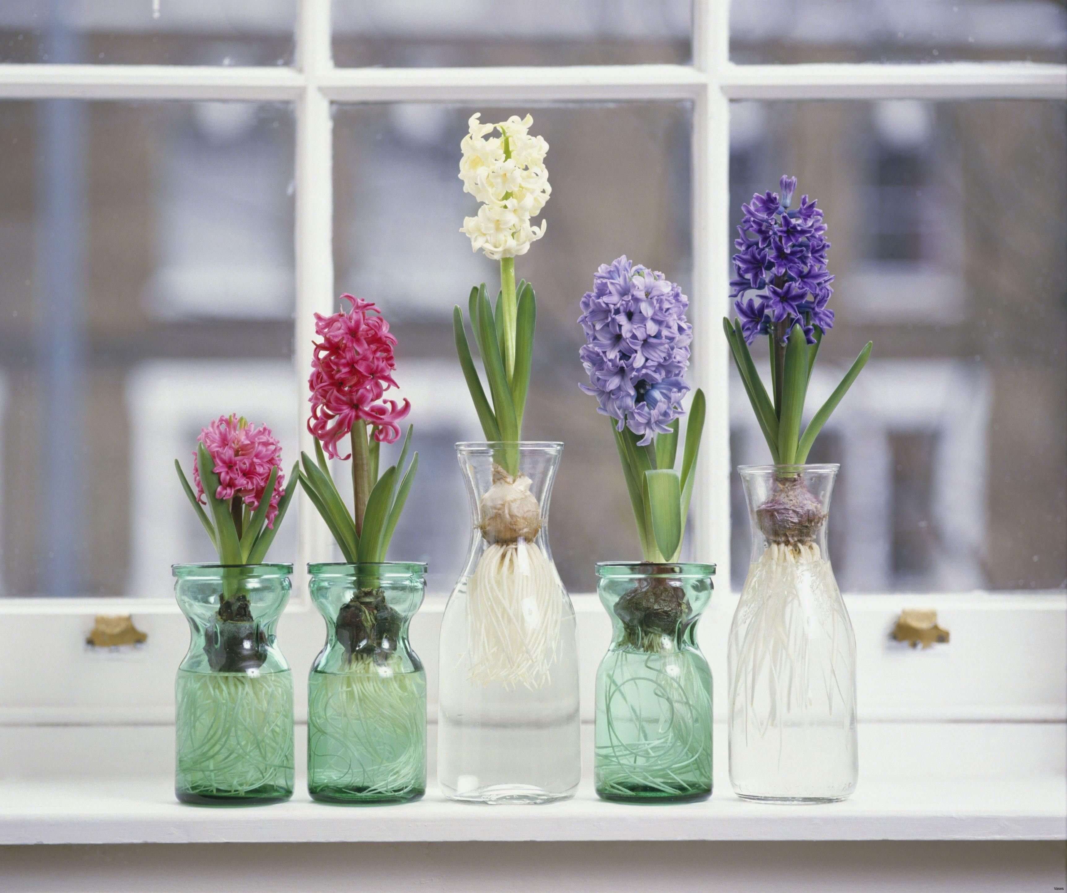Живые цветы в стеклянных вазах