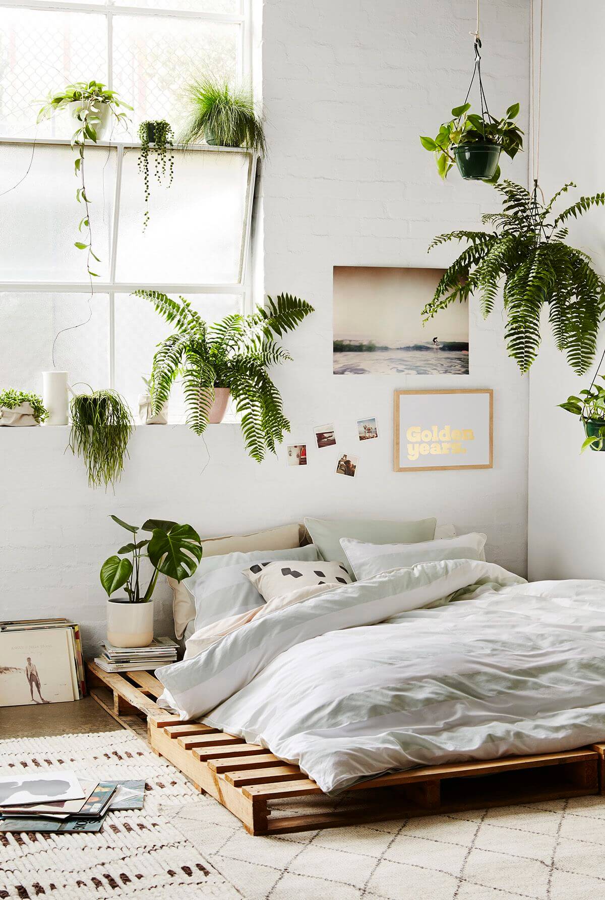 Живые растения в спальне