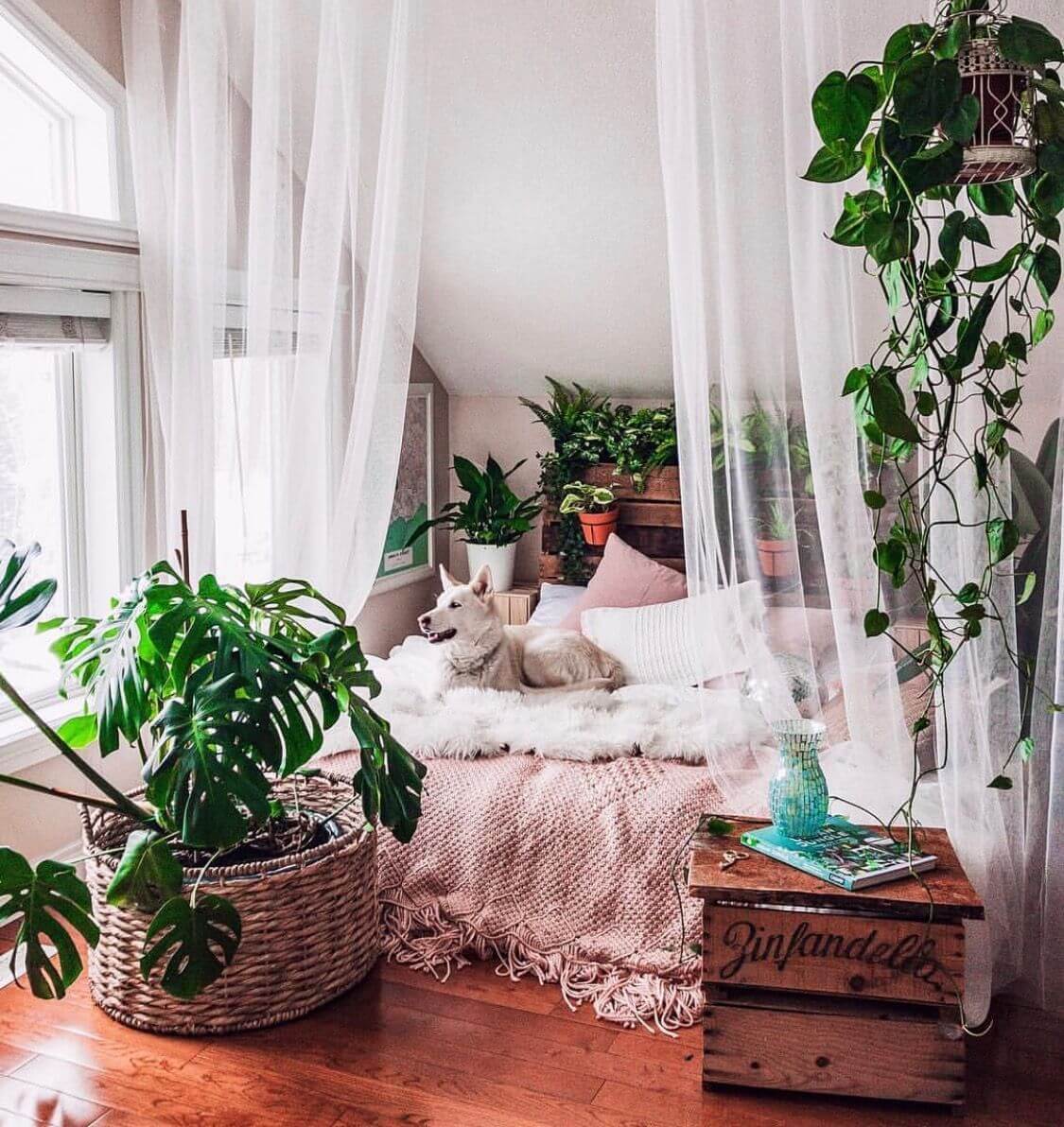 растения в спальне