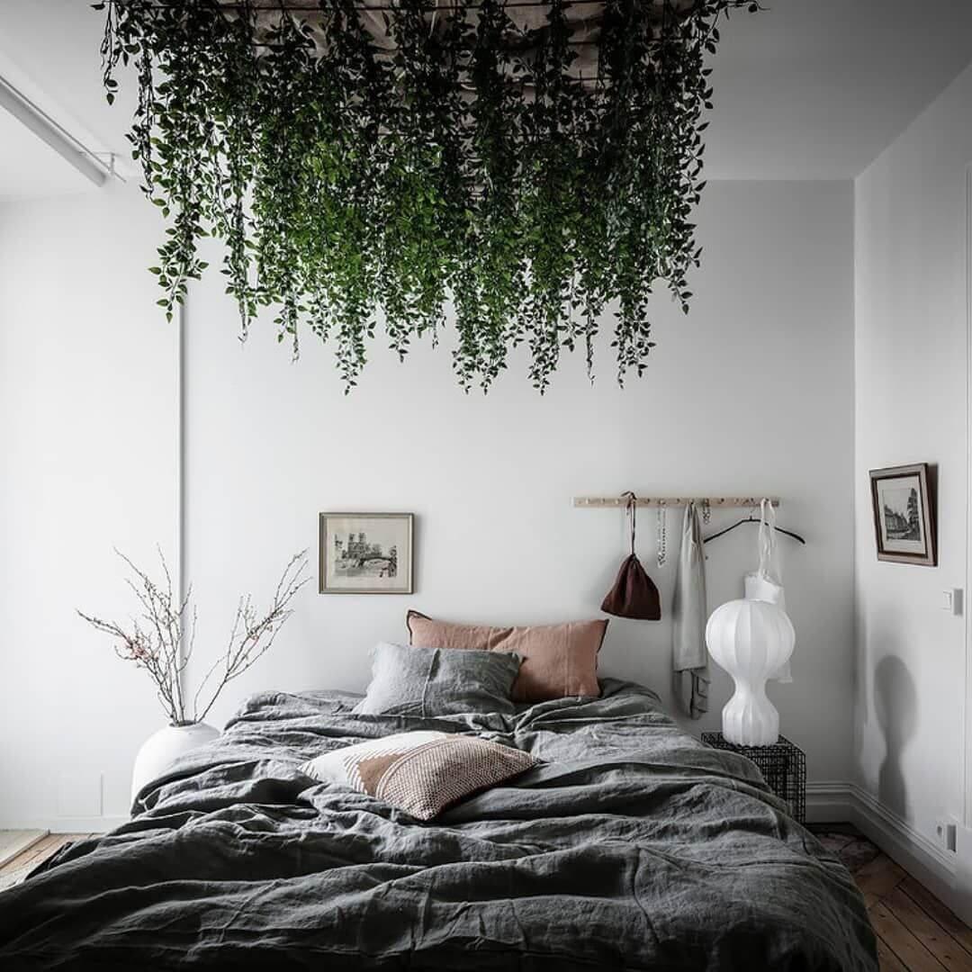 свисающие растения в спальне