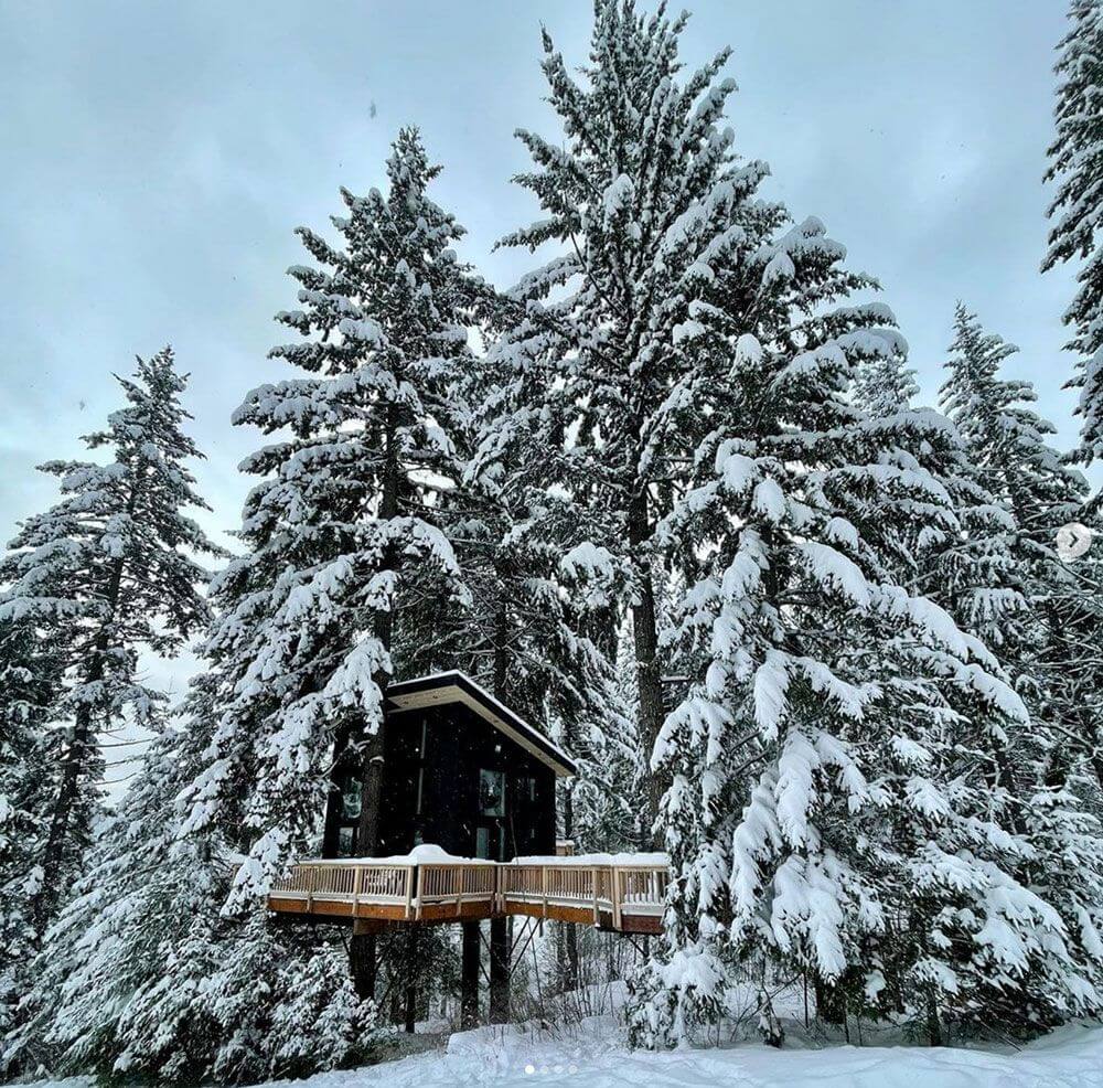 дом в зимнем лесу