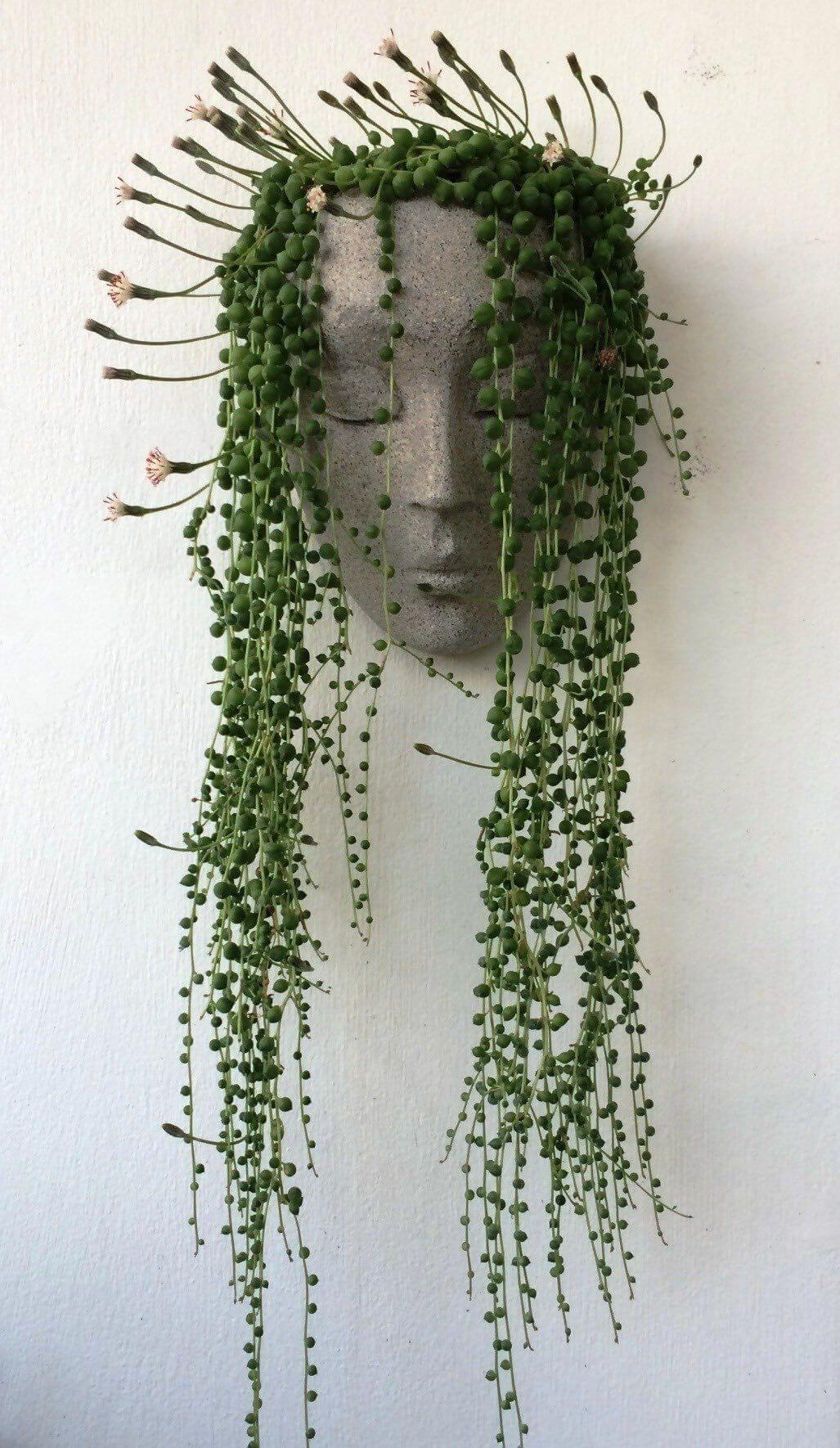 волосы из растений