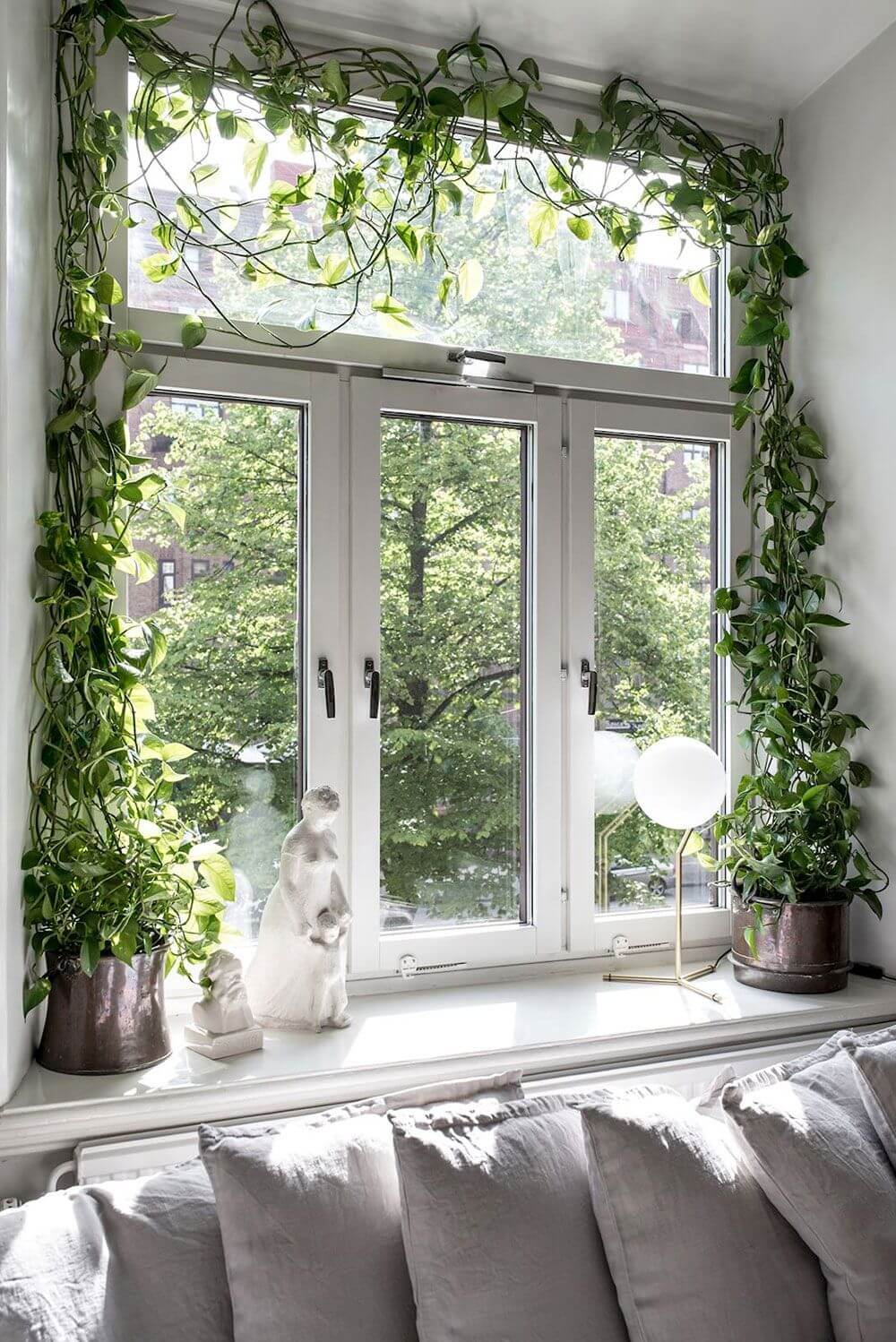 растения вокруг окна 