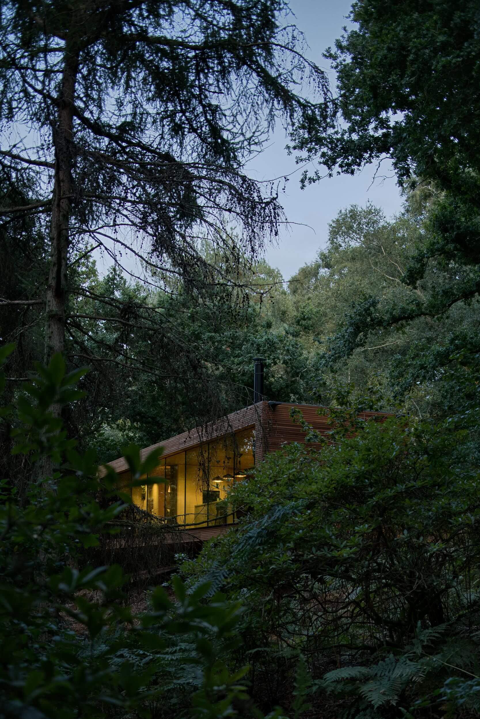 деревянный дом в лесу