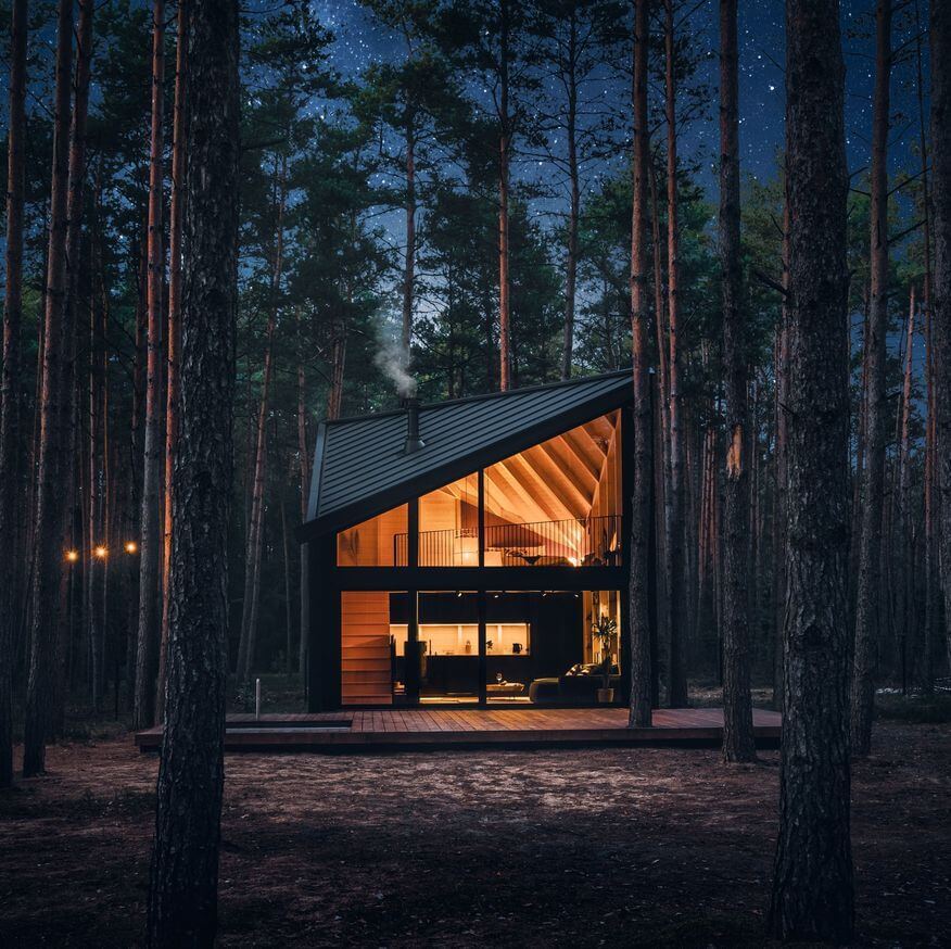 Небольшой современный дом в лесу (40 кв. м)