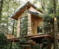 Уютный дом на дереве в Канаде